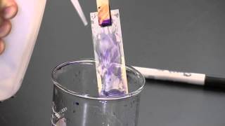 PlantEd Digital Learning Library  Gram Stain Procedure [upl. by Recneps]