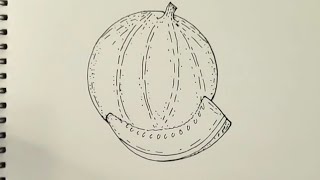 Easy Drawing Draw an easy muskmelon [upl. by Euqilegna]