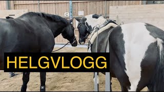 HELT VANLIG STALLVLOGG [upl. by Lynnell]