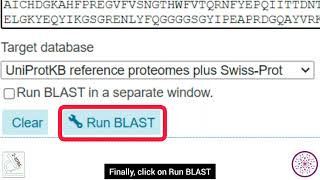 How to use BLAST tool in UniProt  Biological Sciences Department  Superior University [upl. by Caraviello]