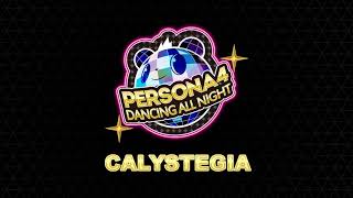 Calystegia  Persona 4 Dancing All Night [upl. by Enicar172]