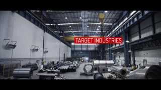 MORANDINI  Target industries [upl. by Akirrehs561]