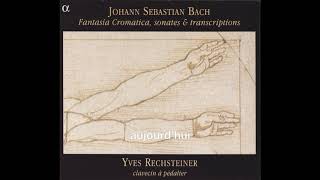 JSBach Chaconne BWV 1004 Yves Rechsteiner [upl. by Asirac50]