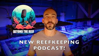 NEW Reefkeeping Podcast Beyond The Reef [upl. by Ajan]