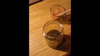 How to make Oil of Oregano [upl. by Delorenzo]