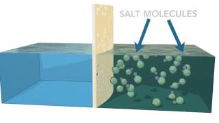 Reverse Osmosis Process [upl. by Hannavahs800]