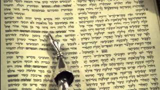 Yom Kippur Maftir Reading Rabbi Weisblum יום כפור קריאת מפטיר הרב ויסבלום [upl. by Atidnan]