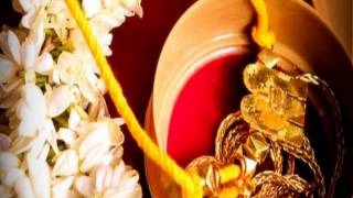 Tirunelveli SaivaPillai Matrimony Brides Grooms Profiles திருநெல்வேலி சைவப்பிள்ளை திருமண தகவல் மையம் [upl. by Hakon4]