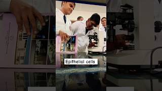 Epithelial Cells  MBBS Students Vlog dailyvlog medicalcollegestudents mbbs ayodhya neet nta [upl. by Nawaj]