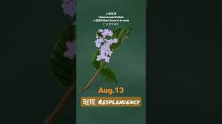 【366花語Aug13】璀璨  resplendency [upl. by Emmalyn]