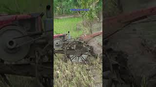 Traktor Sawah 335 Hand tractor [upl. by Nacul463]