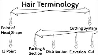 Hair Terminology  hair knowledge hair science  hair class  hairclass hairscience hairtutorial [upl. by Eelrefinnej373]