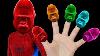 Gorilla Finger Family Songs Nursery Rhymes for Kids Children Toddlers [upl. by Cleo]