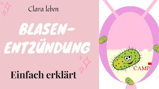 Wiederkehrende Blasenentzündung loswerden  EINFACH ERKLÄRT [upl. by Mosora]