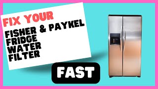 Fisher amp Paykel Fridge Water Filter Where Is It and How Do You Replace It [upl. by Placido711]