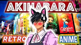 Akihabara the Mecca of Anime Culture  Tokyo Analysis [upl. by Anilram]