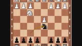 Chess Openings Scandinavian Defense [upl. by Ahseia]