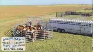 WW Express Portable Cattle Corral [upl. by Shiroma]