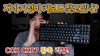 가성비 기계식 키보드를 찾고 계신다고요 COX CK87 황축 리뷰 [upl. by Karina]