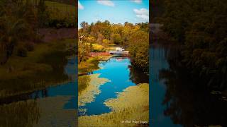 Beautiful hinterland in Sunshine Coast photography photooftheday australia [upl. by Mosley]