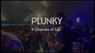 Plunky amp Oneness of Juju Live Promo Video Richmond Folk Fest [upl. by Avlem693]