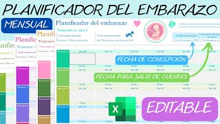 Planificador Mensual del Embarazo📆Editable en Excel✅Gestograma👶 [upl. by Aihcsrop]