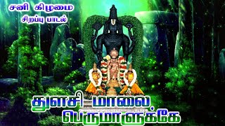 Thulasi Malai Perumaluke  Tamil God Devotional Songs  Perumal Songs  Saturday Perumal Songs  HD [upl. by Milburt939]