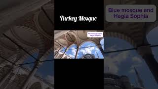 Blue Mosque In Istanbul Turkey shorts viralshorts ytshorts [upl. by Carole]