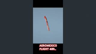 AEROMEXICO FLIGHT 489 [upl. by Cawley763]