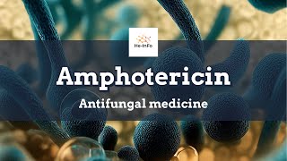 amphotericin b  Uses Dosage Side Effects amp Mechanism  Fungizone [upl. by Yart]