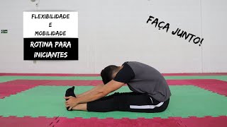 Rotina de Flexibilidade e Mobilidade para Iniciantes FAÇA JUNTO  Alongamentos [upl. by Zielsdorf388]