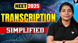 Transcription  Simplified  Molecular Basis Of Inheritance Class 12  NEET 2025  Simran Maam [upl. by Weider]