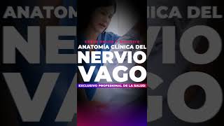 ¡Quedan 5 días para el comienzo del curso ANATOMÍA CLÍNICA DEL NERVIO VAGO [upl. by Ardiedal526]