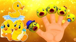 Duck Finger Family  Gia Đình Ngón Tay  Gia Đình Động Vật [upl. by Filahk]