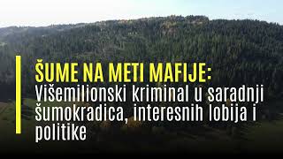 Šume na meti mafije Višemilionski kriminal u saradnji šumokradica interesnih lobija i politike [upl. by Eleik430]