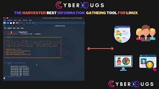 TheHarvester Kali Linux Tool I Target Information Gathering Tools In Linux  In Hindi [upl. by Aliwt]