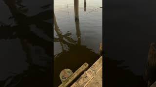 Homemade Crabbing Rig lousiana crabbing music countrymusic [upl. by Eemia]