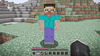 I SAW HEROBRINE IN MINECRAFT… [upl. by Georgina190]