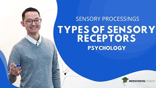 Types of Sensory Receptors [upl. by Arivle563]