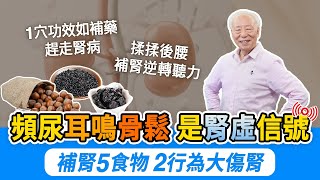 夜尿多增死亡風險！5物2莓果，補腎固精，改善膀胱。耳鳴怎麼辦？常揉後腰刺激2穴。骨鬆比罹癌更致命，3招防骨鬆。預防腎病！按1穴功效如六味地黃丸。2件事別做，腎氣消耗快｜胡乃文開講DrHU261 [upl. by Aissak570]