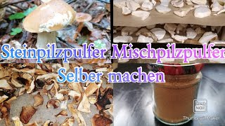 Steinpilzpulver Mischpilzpulver selber machen [upl. by Yntirb975]