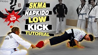 HOW TO DO LOW KICKS TUTORIAL  SKMA HAPKIDO TECHNIQUES [upl. by Dnomra]