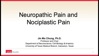 210826 GPRCNeuropathic Pain amp Nociplastic Pain Jin M Chung [upl. by Esoryram]