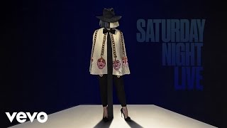 Sia  Bird Set Free Live From SNL [upl. by Enehpets94]