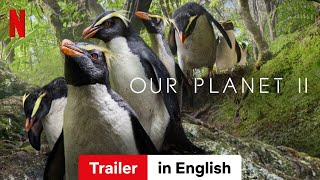 Our Planet Season 2  Trailer in English  Netflix [upl. by Klinger]