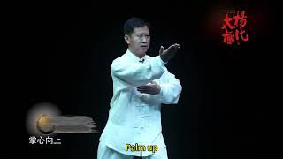 Form 15 Yangstyle Tai Chi Traditional Yangstyle Tai Chi Routine Teaching and demo [upl. by Yednil605]