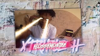 Flossy Montee  xTRIPLE H Visualizer [upl. by Enirac]