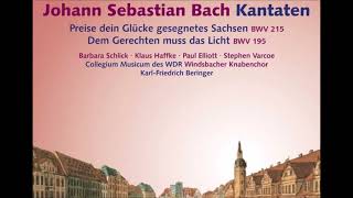 J S Bach  Kantaten BWV 215 amp BWV 195  KarlFriedrich Beringer [upl. by Nosiram]