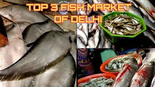 TOP 3 FISH MARKET OF DELHI  BEST FISH MARKET OF DELHI 2020 [upl. by Cirek]