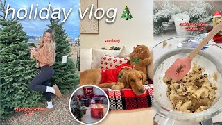 the ULTIMATE holiday vlog ❄️  baking cookies real christmas tree vlogmas 2023 [upl. by Ilamad]